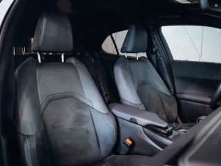 Lexus UX 250 H 2.0 HYBRID CZ
